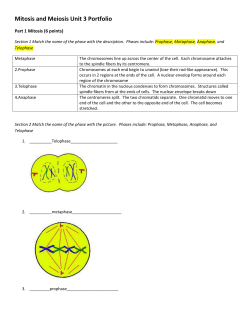 Mitosis and Meiosis Unit 3 Portfolio