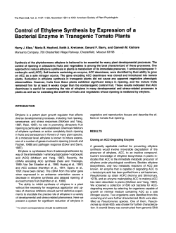 Control of Ethylene Synthesis by Expression of a