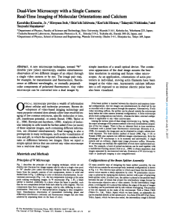 DualView Microscopy with a Single Camera: RealTime Imaging of