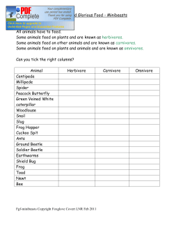 Food Glorious Food - Minibeasts All animals have to feed. Some