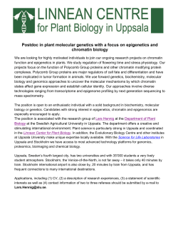Postdoc in plant molecular genetics with a focus on epigenetics and