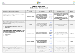 Bisi Badminton Risk Assessment