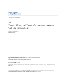 Protein folding and Protein-Protein interactions in a Cell