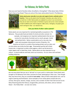 Our Bahamas, Our Native Plants