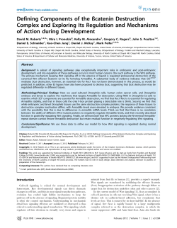 Defining Components of the &szlig;catenin Destruction Complex and