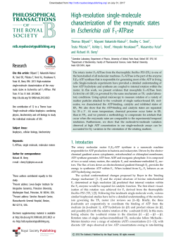 High-resolution single-molecule characterization of the enzymatic