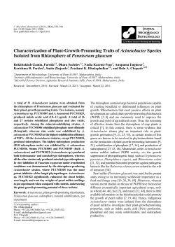 Characterization of Plant-Growth-Promoting Traits of Acinetobacter