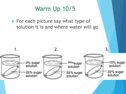 Active Transport of Large molecules