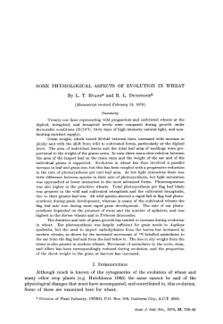 SOME PHYSIOLOGICAL ASPECTS OF EVOLUTION IN WHEAT