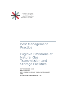 Best Management Practice Fugitive Emissions at Natural Gas