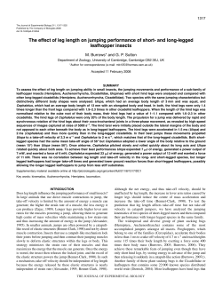 The effect of leg length on jumping performance of short