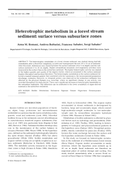 Heterotrophic metabolism in a forest stream sediment: surface