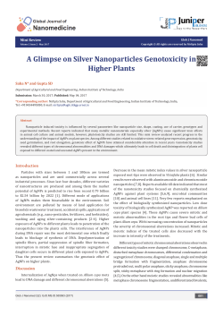 A Glimpse on Silver Nanoparticles Genotoxicity in Higher Plants