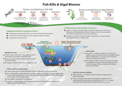 Factors contributing to fish kills and algal blooms