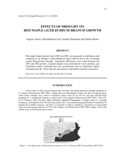 EFFECTS OF DROUGHT ON RED MAPLE (ACER RUBRUM