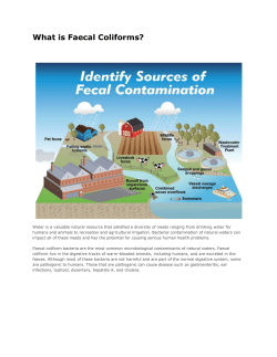 The Faecal Coliform Test