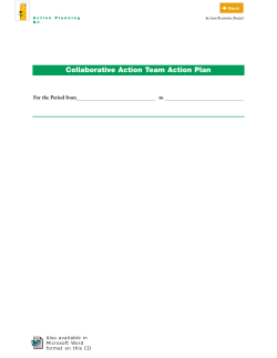 Creating Collaborative Action Teams