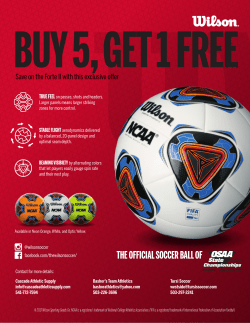 the official soccer ball of