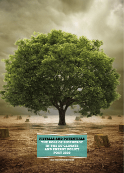 pitfalls and potentials the role of bioenergy in the eu climate