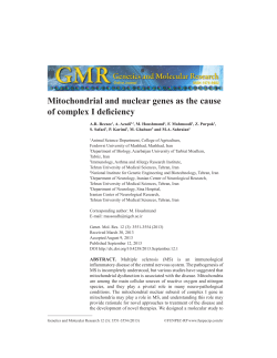 Mitochondrial and nuclear genes as the cause of complex I deficiency