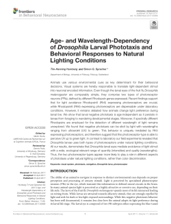 and Wavelength-Dependency of Drosophila Larval