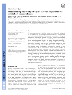 Masquerading microbial pathogens: capsular polysaccharides