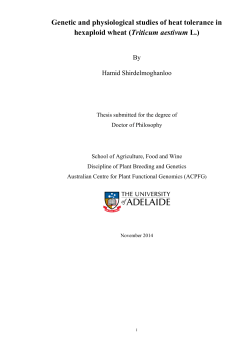 Genetic and physiological studies of heat tolerance in hexaploid wheat