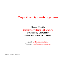 Cognitive Dynamic Systems