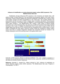 Influence of stratification on marine dissolved organic carbon (DOC