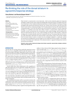 Re-thinking the role of the dorsal striatum in egocentric/response