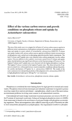 Effect of the various carbon sources and growth conditions on