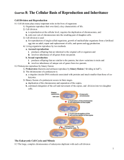 Chapter 8 Notes