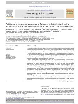 Partitioning of net primary production in Eucalyptus and