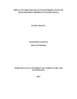 IMPACT OF TREE SPECIES ON MAIZE PRODUCTIVITY BY SMALLHOLDER