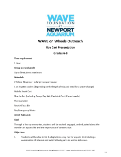 6-8 - Wave Foundation