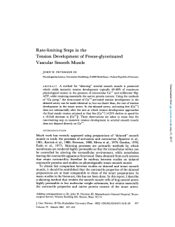 Rate-limiting Steps in the Tension Development of Freeze