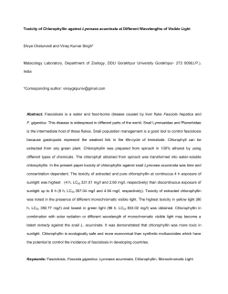 Toxicity of Chlorophyllin against Lymnaea acuminata at Different