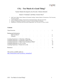CO2 &ndash; Too Much of a Good Thing?
