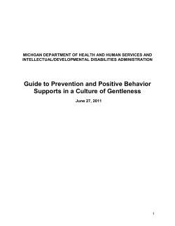 31.19C Guide to Prevention and Positive Behavior Supports in a