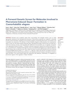 A Forward Genetic Screen for Molecules Involved in Pheromone