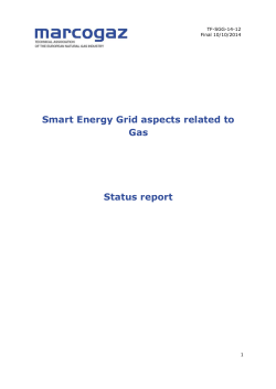 Smart Energy Grid aspects related to Gas Status report