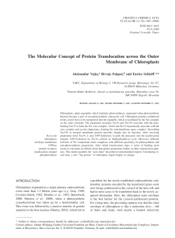 The Molecular Concept of Protein Translocation across the Outer