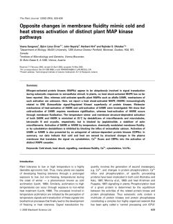 Opposite changes in membrane fluidity mimic cold and heat stress