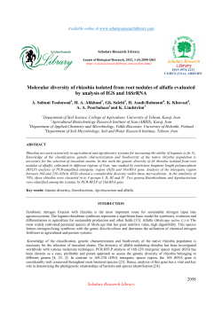 Molecular diversity of rhizobia isolated from root nodules of alfalfa
