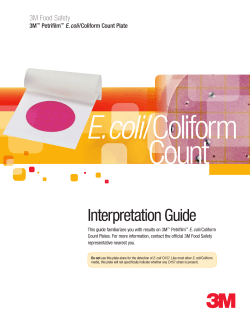 Interpretation Guide