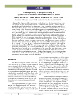 Tissue specificity of gus gene activity in Agrobacterium