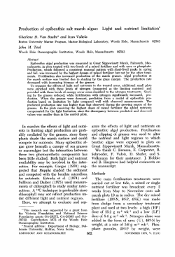 Production of epibenthic salt marsh algae: Light and nutrient