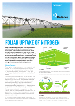 foliar uptake of nitrogen