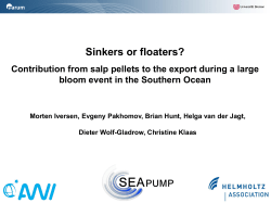 Sinkers or floaters? Contribution from salp pellets to the