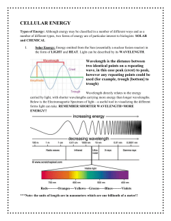 The Light-Dependent Reaction